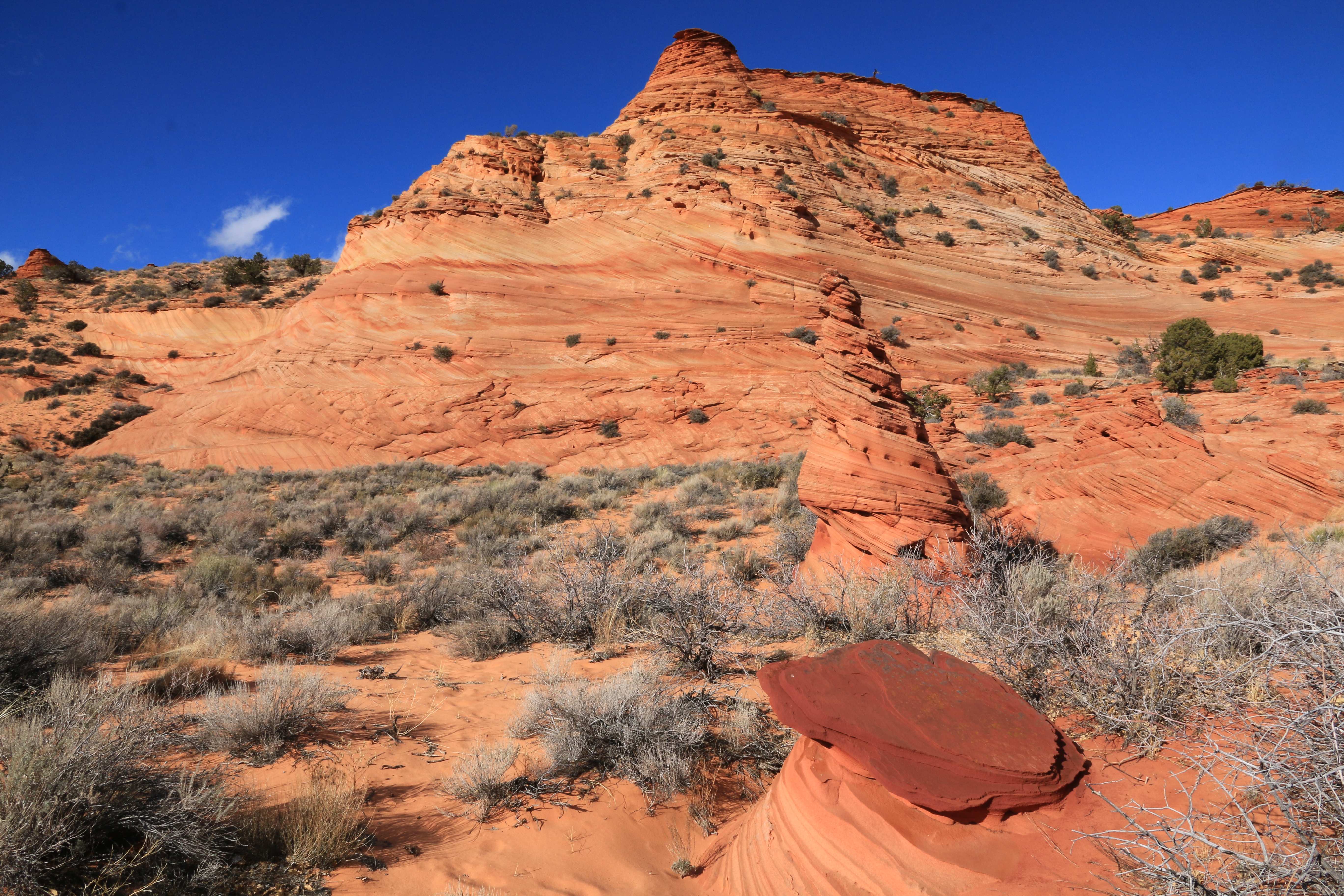 Coyote Buttes